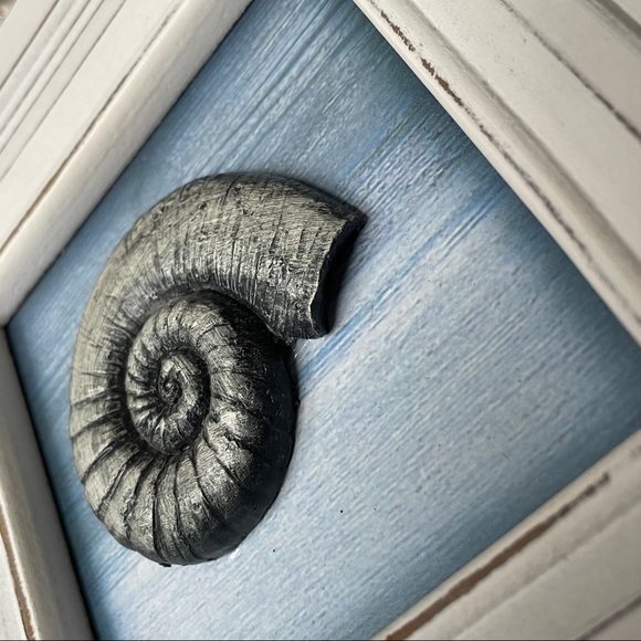 Nautilus rack for small towels or keychains - Picture 3 of 6